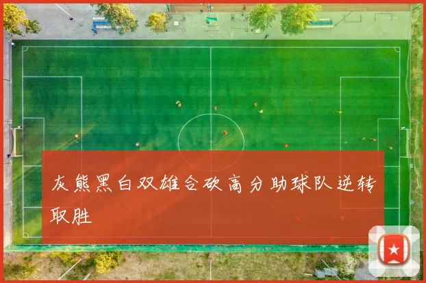 灰熊黑白双雄合砍高分助球队逆转取胜
