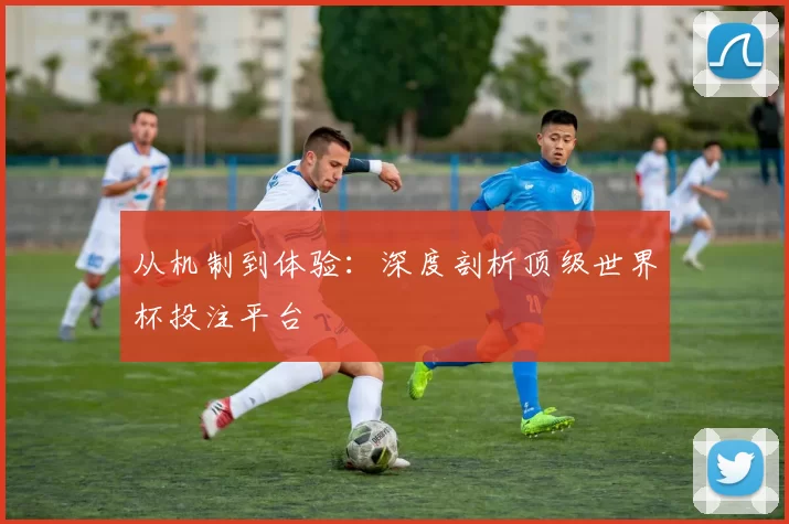从机制到体验：深度剖析顶级世界杯投注平台