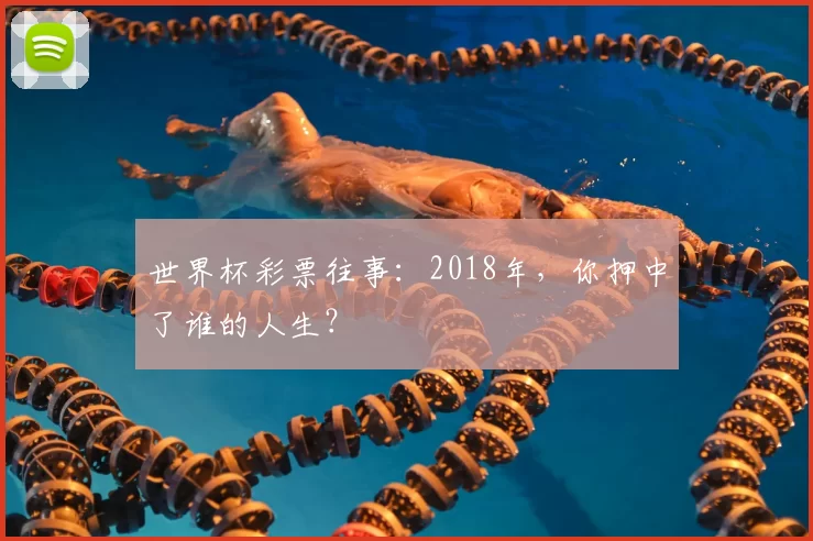 世界杯彩票往事:2018年,你押中了谁的人生?