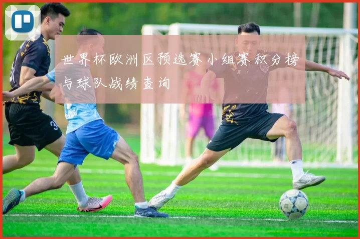世界杯欧洲区预选赛小组赛积分榜与球队战绩查询