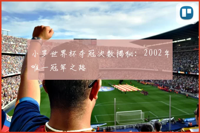 小罗世界杯夺冠次数揭秘：2002年唯一冠军之路