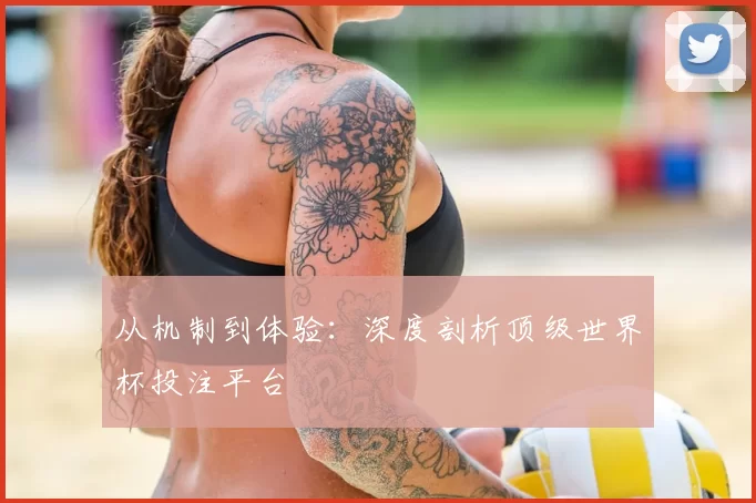 从机制到体验：深度剖析顶级世界杯投注平台