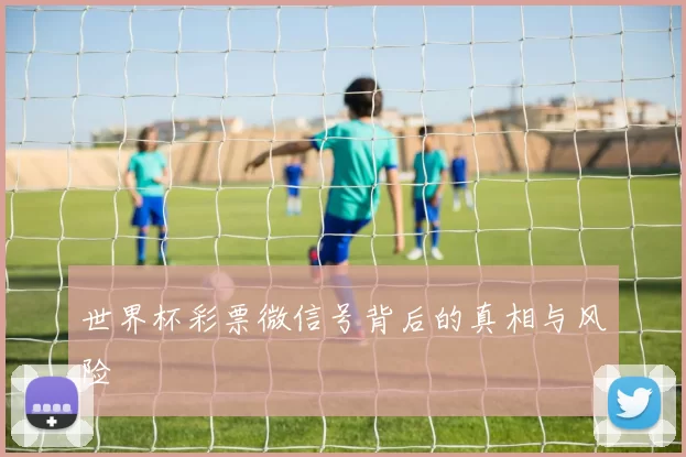 世界杯彩票微信号背后的真相与风险