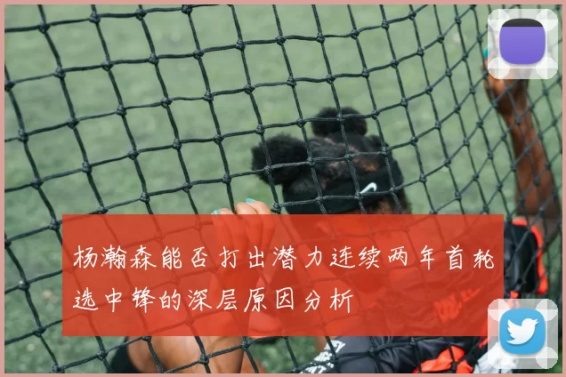 杨瀚森能否打出潜力连续两年首轮选中锋的深层原因分析