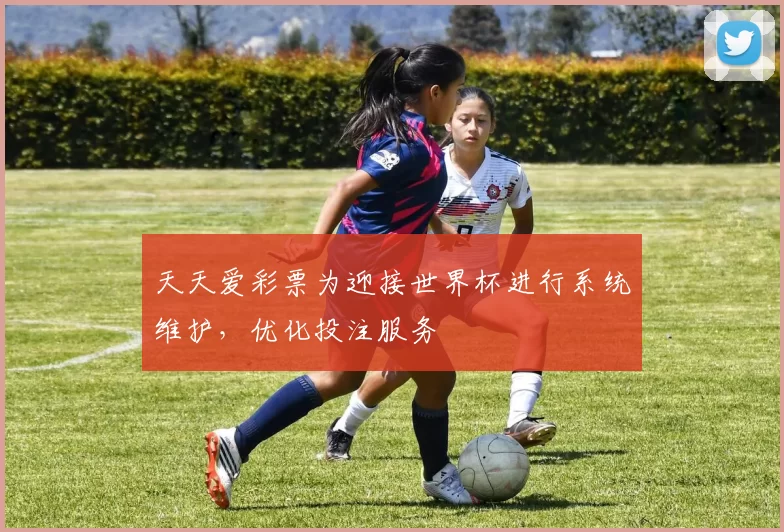 天天爱彩票为迎接世界杯进行系统维护，优化投注服务