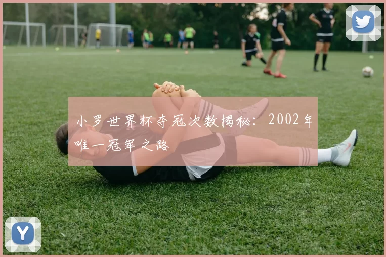 小罗世界杯夺冠次数揭秘：2002年唯一冠军之路