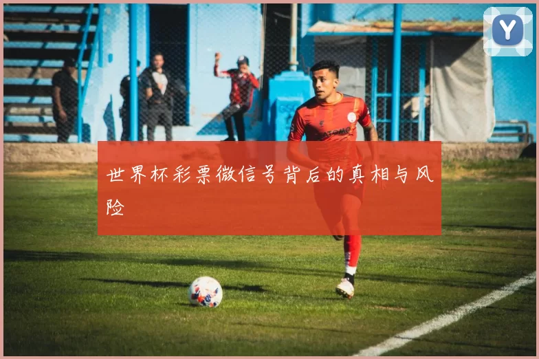 世界杯彩票微信号背后的真相与风险