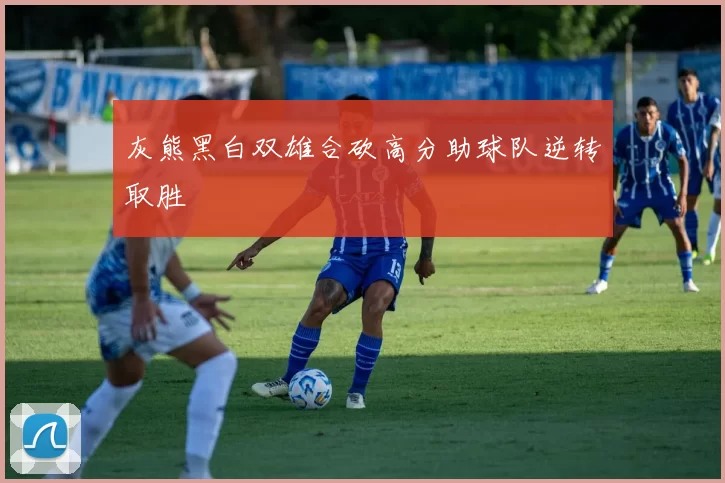 灰熊黑白双雄合砍高分助球队逆转取胜