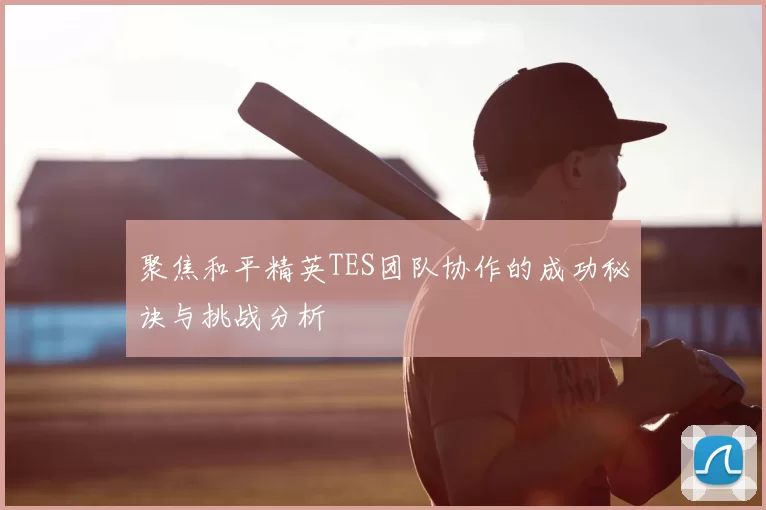 聚焦和平精英TES团队协作的成功秘诀与挑战分析