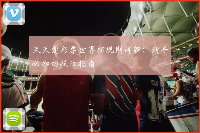 天天爱彩票世界杯规则详解:新手必知的投注指南